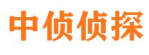 壶关调查事务所